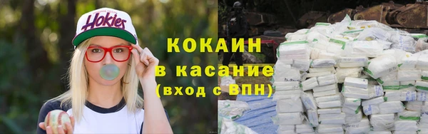 ГАЛЛЮЦИНОГЕННЫЕ ГРИБЫ Арсеньев