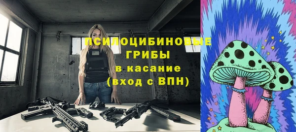 ГАЛЛЮЦИНОГЕННЫЕ ГРИБЫ Арсеньев