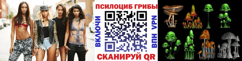Галлюциногенные грибы Psilocybine cubensis  OMG маркетплейс  Арск 